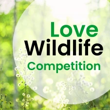 Winning entries in wildlife competition