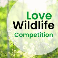 Green meadow plants in background with words Love Wildlife Competition
